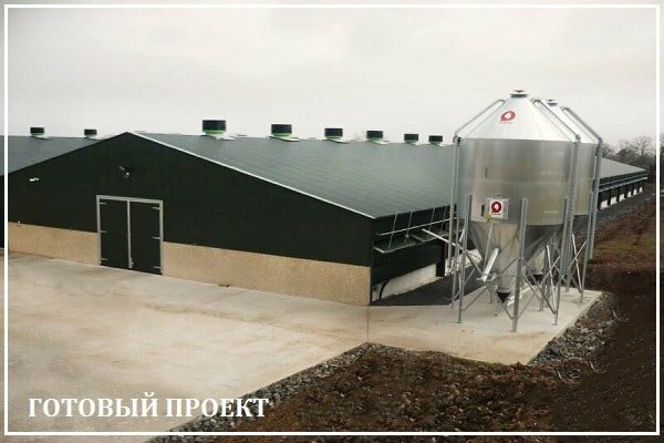 Этапы возведения птицефабрики от завода ВелесТент-кпс